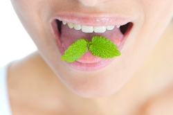 August 6 is National Fresh Breath Day. What do you do to make sure your breath stays fresh?